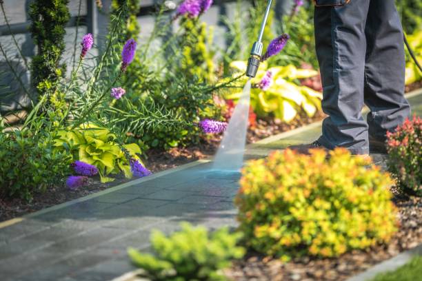 Professional Pressure Washing Services in Happy Valley, CA